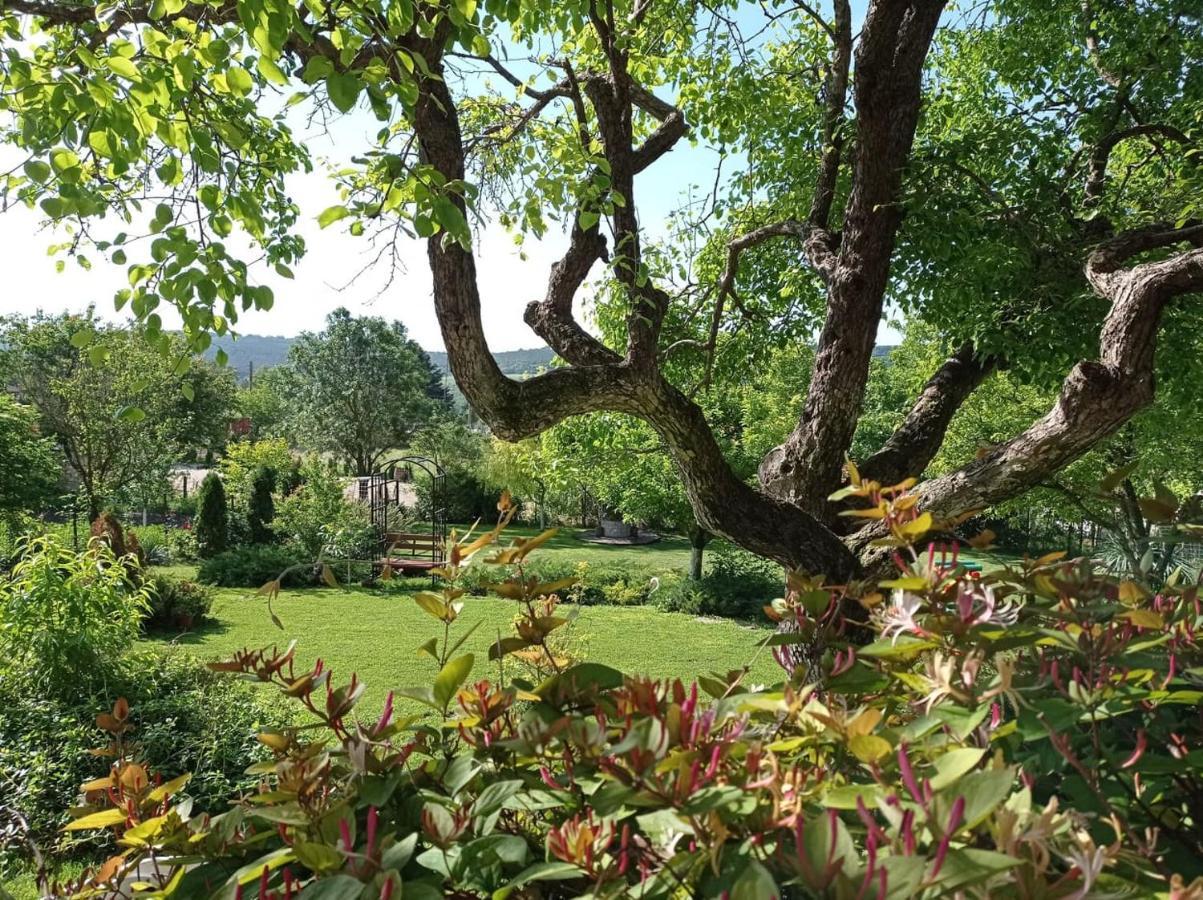 Villa Prolet General-Kantardzhievo エクステリア 写真